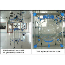 china supplier multi-function glass chemical reactor for sale